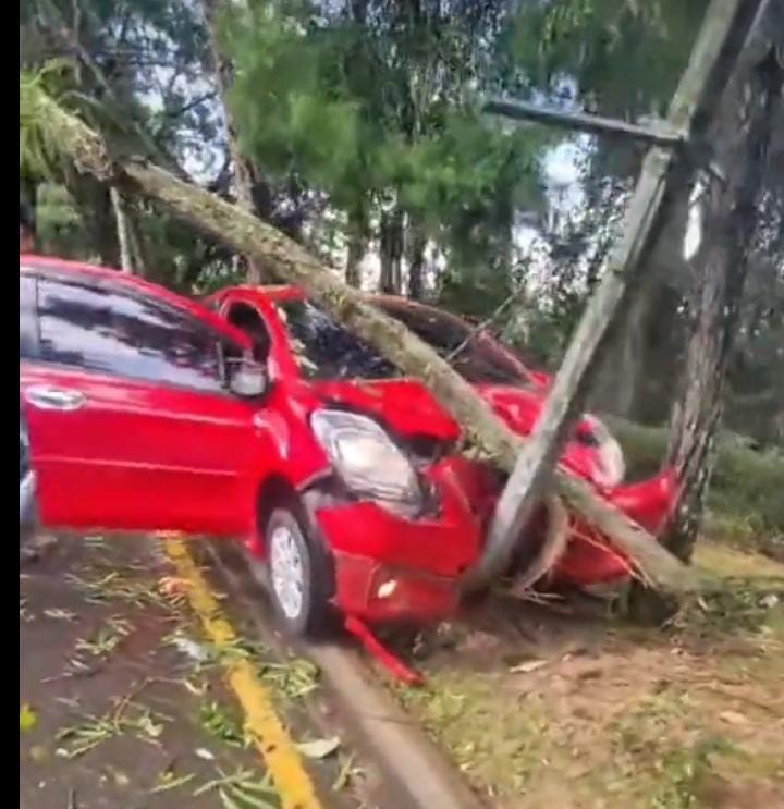 Sumber : akun tiktok @Jambi sharing