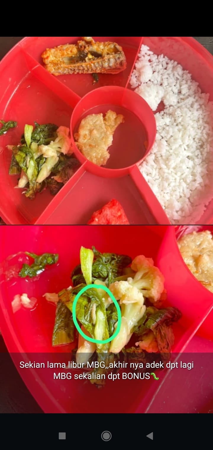 temuan makanan ada ulatnya